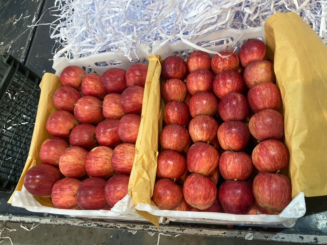 WhatsApp Image 2025-11-13 at 4.05.30 PM.jpeg